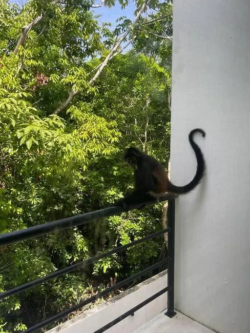 Villa Casa Maya Puerto Morelos Mexico